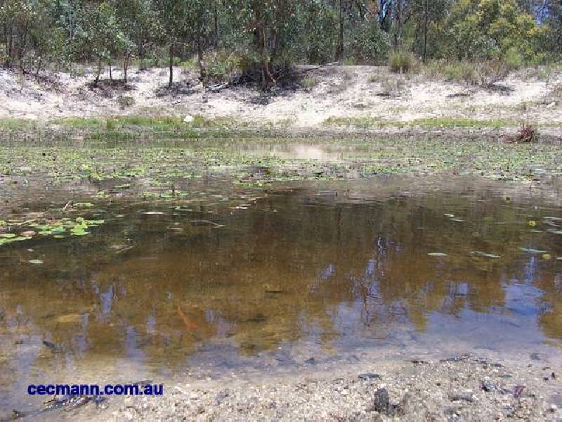 Pyramids Road, Stanthorpe QLD 4380