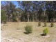 Stanthorpe QLD 4380