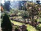 280 Bamberry Road, Stanthorpe QLD 4380