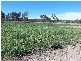544 Texas Road, Stanthorpe QLD 4380