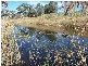 544 Texas Road, Stanthorpe QLD 4380