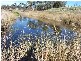 544 Texas Road, Stanthorpe QLD 4380