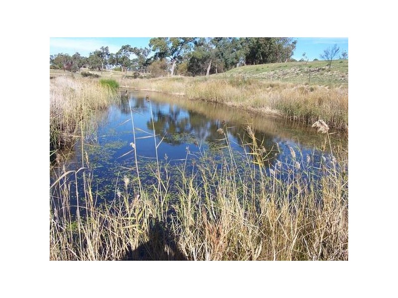 544 Texas Road, Stanthorpe QLD 4380