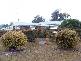Gleeson St, Stanthorpe QLD 4380