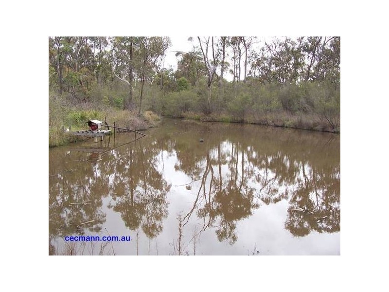 20 Philpott Lne, Greenlands QLD 4380