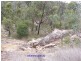 Lot 2 Horans Gorge Road, Ballandean QLD 4382
