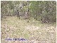 22 Nundubbermere Road, Nundubbermere QLD 4380