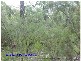 22 Nundubbermere Road, Nundubbermere QLD 4380
