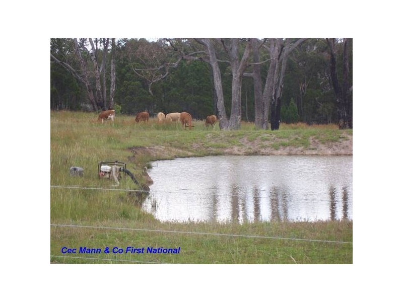 4 Nundubbermere Rd, Stanthorpe QLD 4380