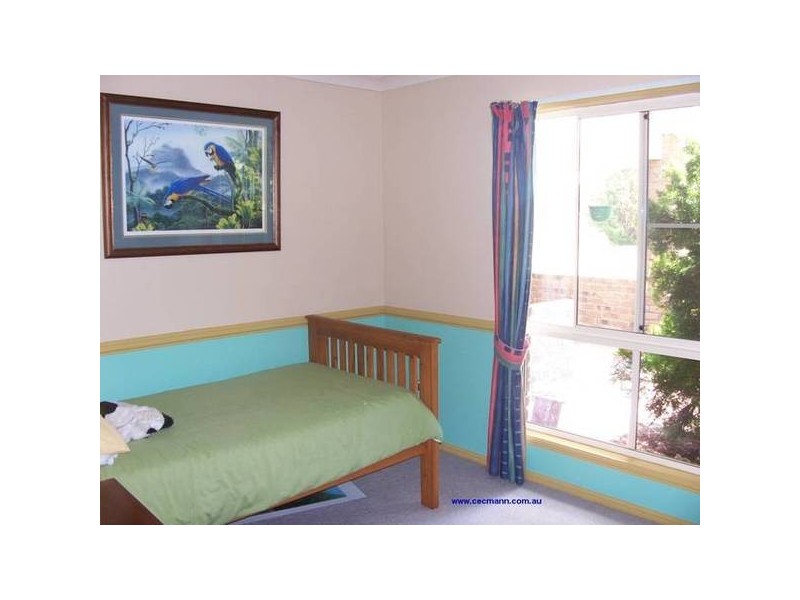 115 Jimmy Mann Rd, Stanthorpe QLD 4380