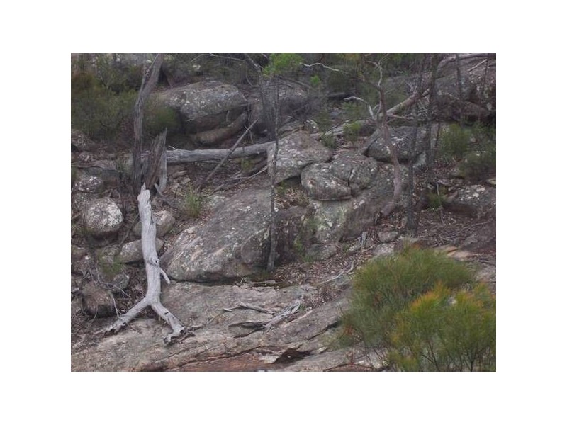 162 Sonego Lane, Stanthorpe QLD 4380