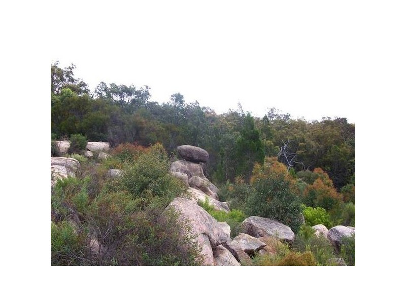 162 Sonego Lane, Stanthorpe QLD 4380