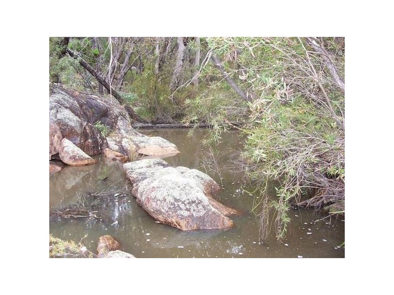 162 Sonego Lane, Stanthorpe QLD 4380