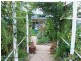 105 High Street, Stanthorpe QLD 4380
