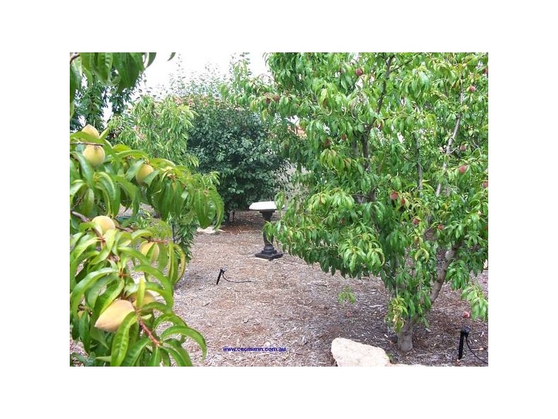 6 Pitts Street, Stanthorpe QLD 4380