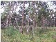 13 Nectar Lane, Stanthorpe QLD 4380