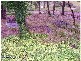 122 Glenlyon Drive, Stanthorpe QLD 4380