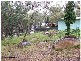 122 Glenlyon Drive, Stanthorpe QLD 4380