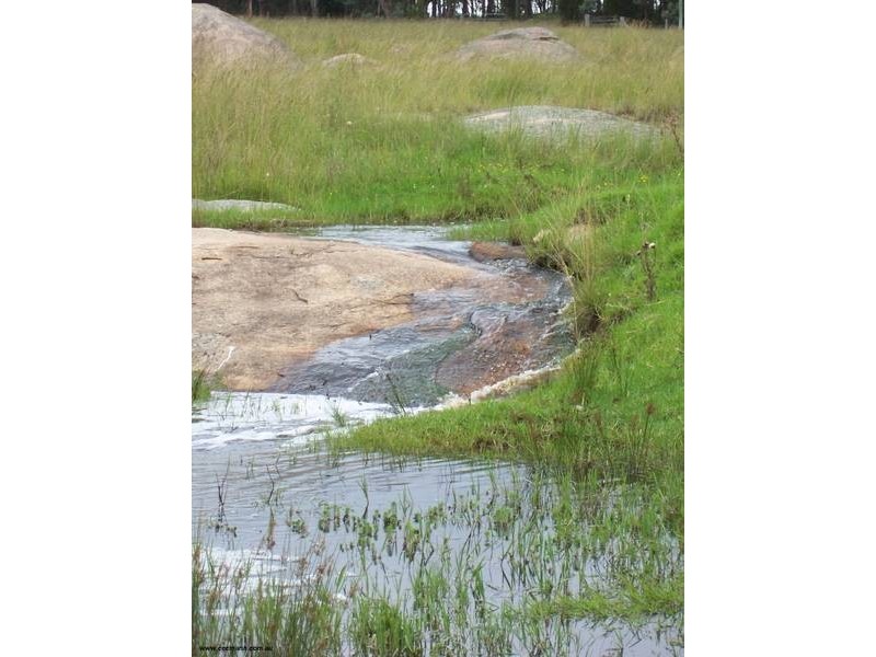 128 Hutchinsons Lane, Cottonvale QLD 4375