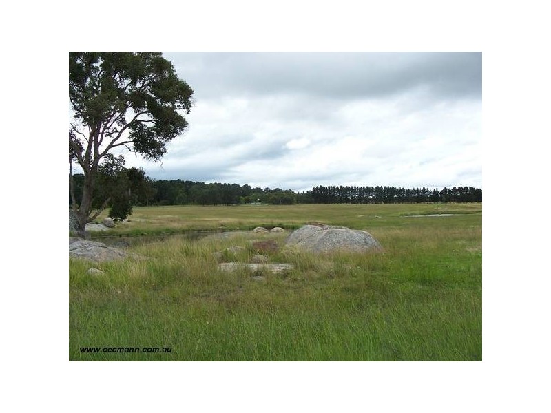 128 Hutchinsons Lane, Cottonvale QLD 4375