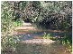 Lot 1 Brooklands Road, Stanthorpe QLD 4380