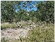Lot 1 Brooklands Road, Stanthorpe QLD 4380