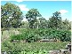 Lot 1 Brooklands Road, Stanthorpe QLD 4380