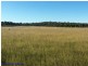 Lot 14 Lochiel Road, Dalveen QLD 4374