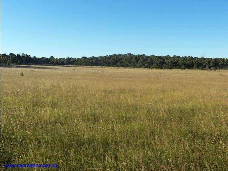 Lot 14 Lochiel Road, Dalveen QLD 4374
