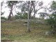 82 Perry Lane, Thulimbah QLD 4376