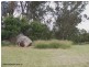 82 Perry Lane, Thulimbah QLD 4376