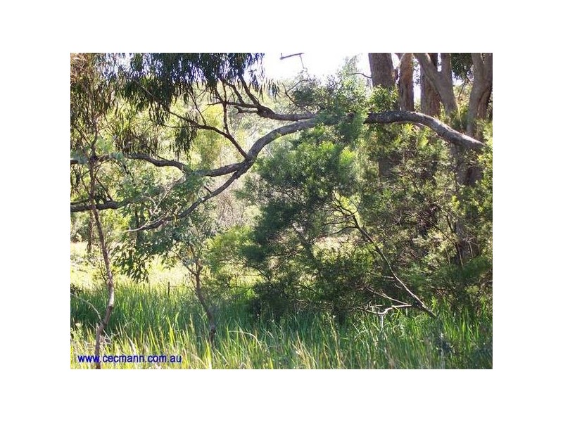 78 Bamberry Road, Pozieres QLD 4352