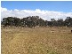 105 Tennant Road (The Summit), Stanthorpe QLD 4380