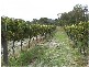 264 Kerridges Road, Stanthorpe QLD 4380