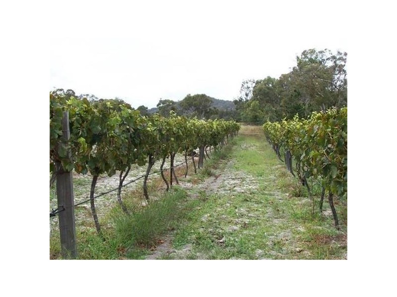 264 Kerridges Road, Stanthorpe QLD 4380