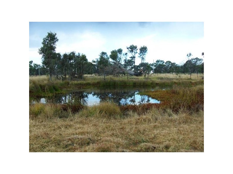 18 New England Highway, Dalveen QLD 4374