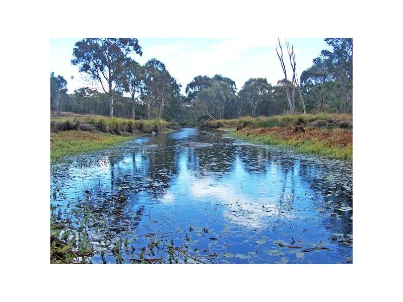 19 New England Highway, Stanthorpe QLD 4380