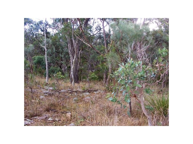 19 New England Highway, Stanthorpe QLD 4380