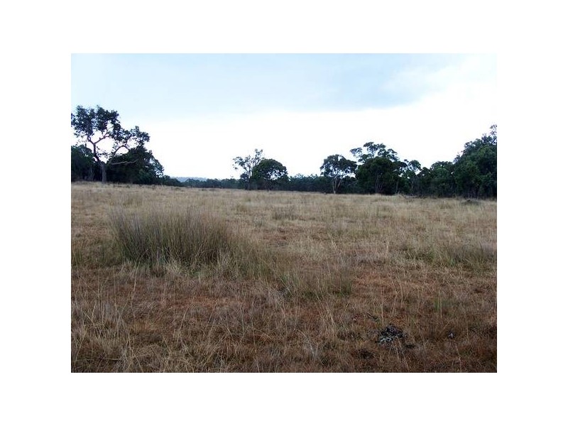 19 New England Highway, Stanthorpe QLD 4380