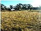 486 Melaleuca Cres, Stanthorpe QLD 4380