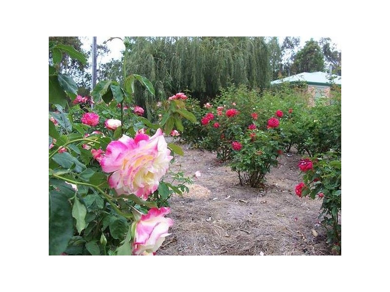 90 Nicholson Road, Stanthorpe QLD 4380