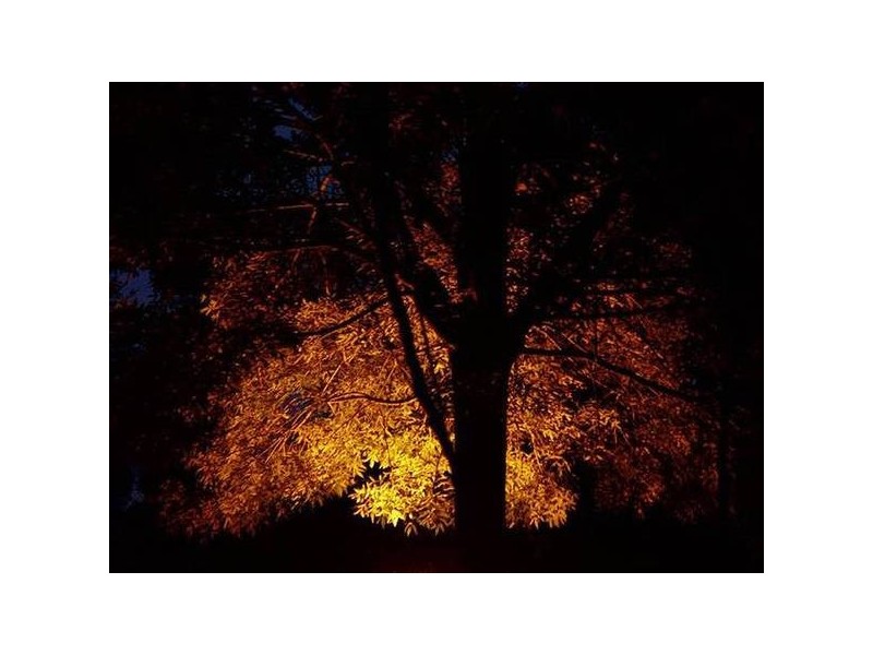 90 Nicholson Road, Stanthorpe QLD 4380