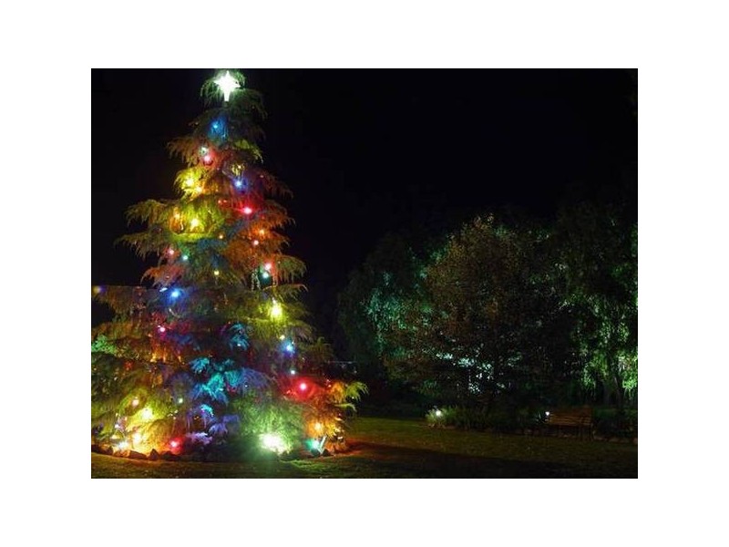 90 Nicholson Road, Stanthorpe QLD 4380