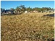 Lot 486 Melaleuca Crescent, Stanthorpe QLD 4380