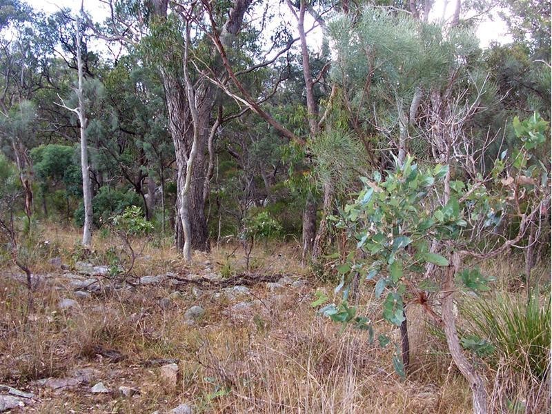 Lot 19 New England Highway, Stanthorpe QLD 4380
