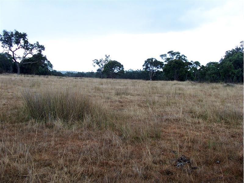 Lot 19 New England Highway, Stanthorpe QLD 4380