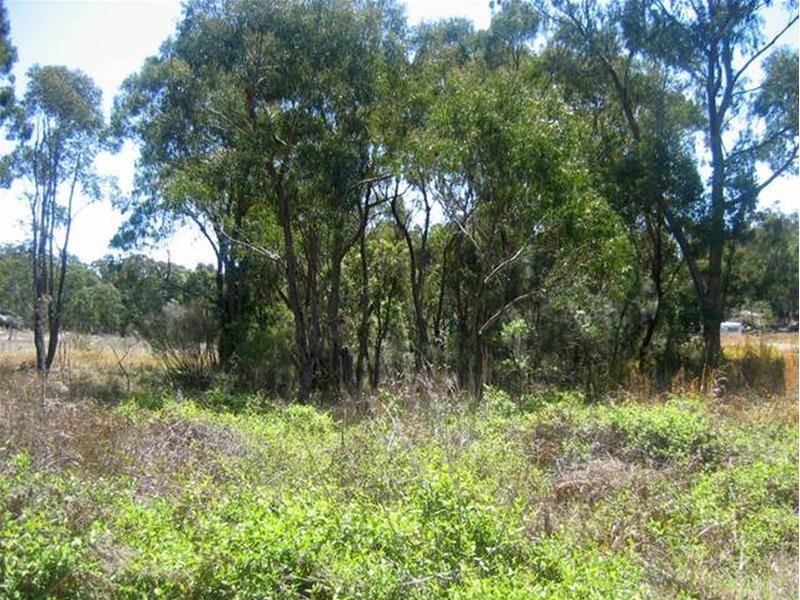 351 Gentle Road, Stanthorpe QLD 4380