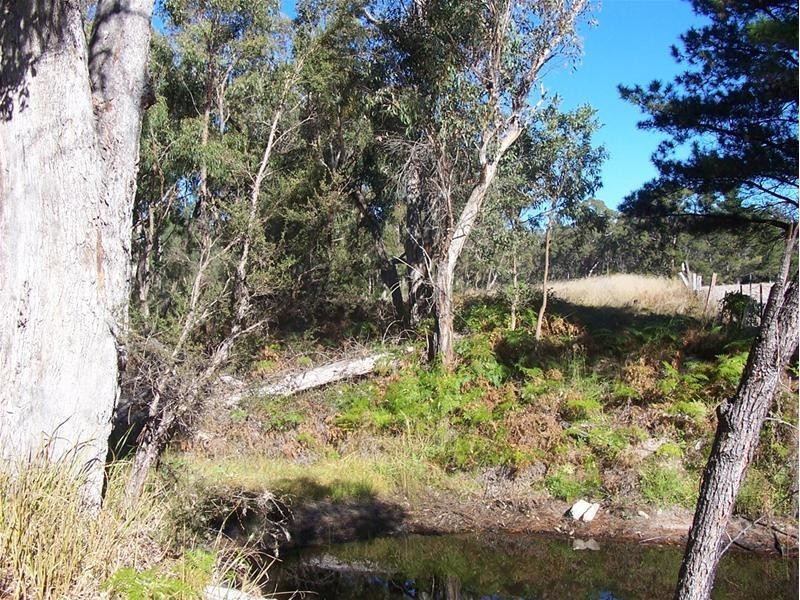 351 Gentle Road, Stanthorpe QLD 4380