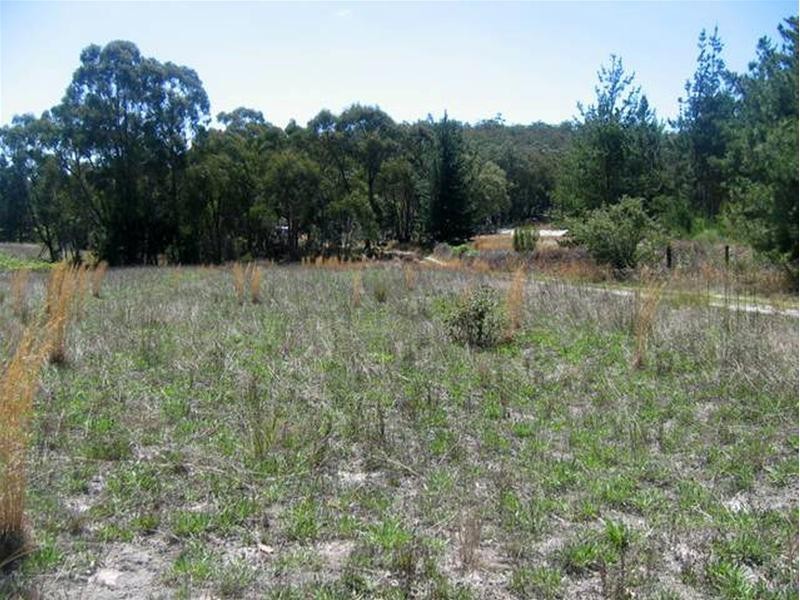 351 Gentle Road, Stanthorpe QLD 4380