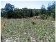 351 Gentle Road, Dalcouth QLD 4380